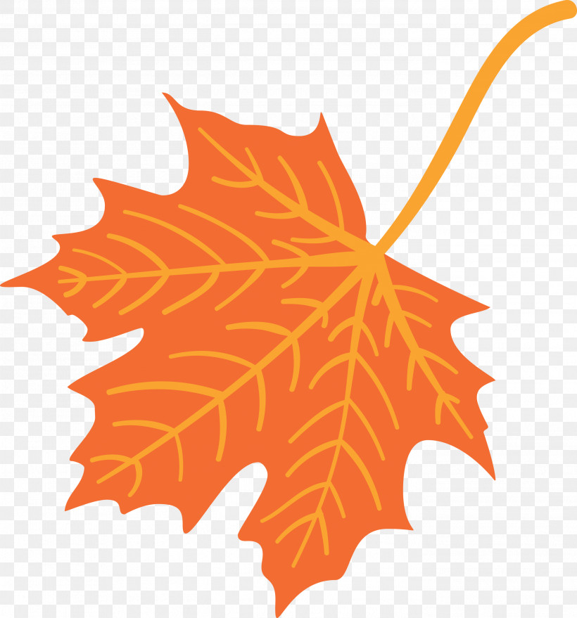 Autumn Leaf Colourful Foliage Colorful Leaves, PNG, 2796x3000px, Autumn Leaf, Biology, Colorful Leaf, Colorful Leaves, Colourful Foliage Download Free