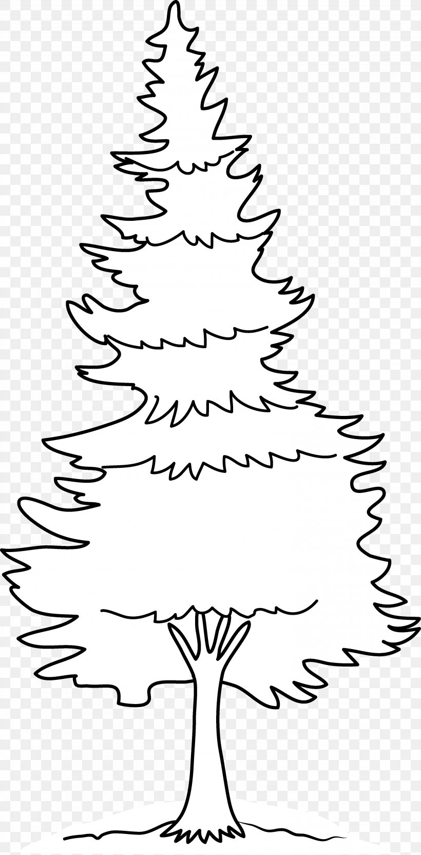 Eastern White Pine Drawing Clip Art, PNG, 2978x6048px, Eastern White Pine, Area, Black And White, Black Pine, Branch Download Free