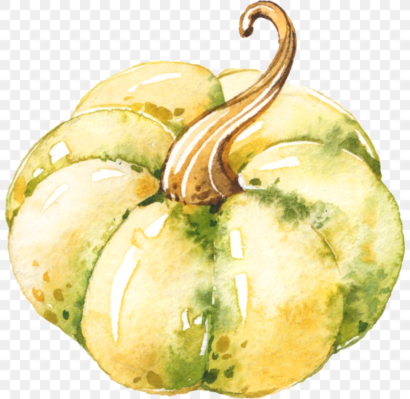 Gourd Winter Squash Cucurbita Food Vegetable, PNG, 800x798px, Gourd, Bell Pepper, Chili Pepper, Cucumber Gourd And Melon Family, Cucurbita Download Free