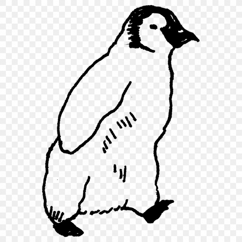 Penguins Birds Flightless Bird Dog Beak, PNG, 1000x1000px, Penguins, Beak, Biology, Birds, Dog Download Free