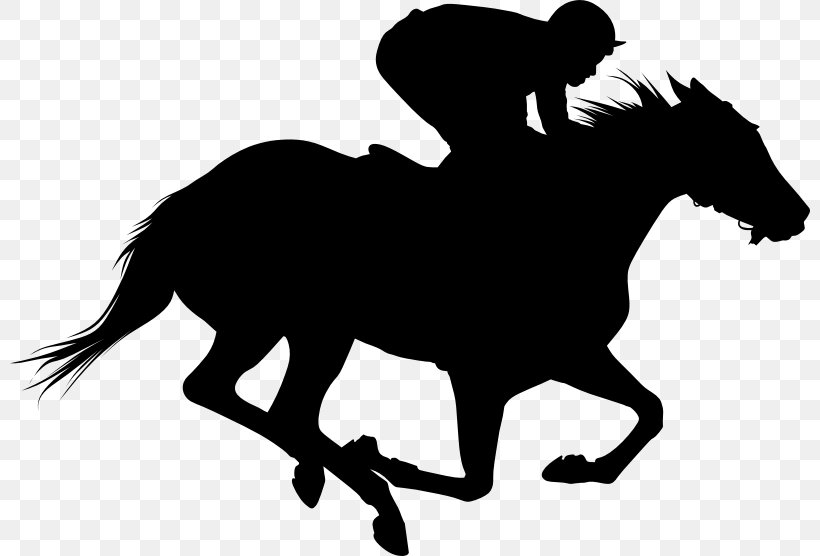 Thoroughbred Horse Racing Clip Art, PNG, 800x556px, Thoroughbred, Black And White, Bridle, English Riding, Equestrian Download Free
