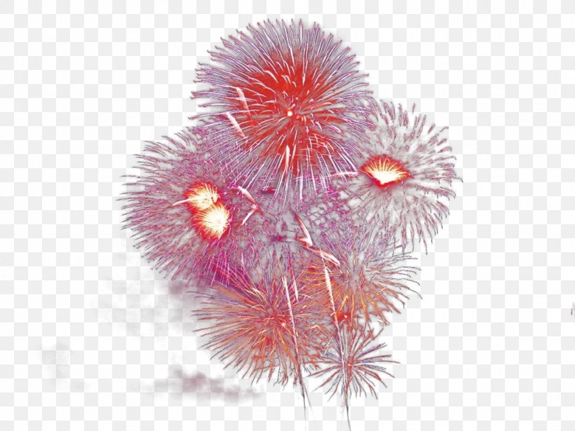 Animation Pyrotechnics, PNG, 1024x768px, Animation, Blog, Computer Animation, Fire, Fireworks Download Free
