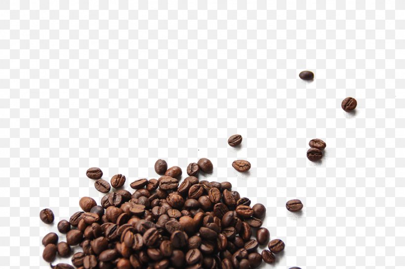 Coffee Bean Cafe Cocoa Bean, PNG, 1024x683px, Coffee, Adzuki Bean, Arabica Coffee, Bean, Cafe Download Free