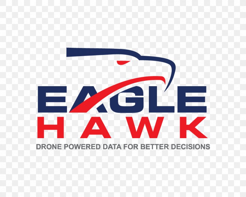 EagleHawk One LLC Business Logo Innovation Brand, PNG, 1000x800px, Business, Area, Brand, Buffalo, Innovation Download Free