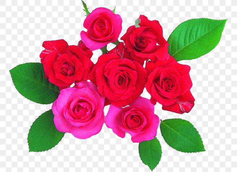 Garden Roses Cut Flowers LOFTER Cabbage Rose, PNG, 757x596px, Garden Roses, Artificial Flower, Cabbage Rose, Cut Flowers, Floral Design Download Free