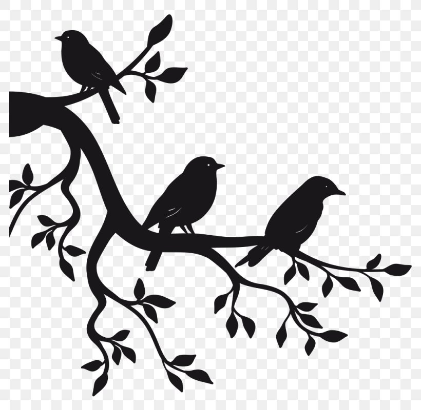 Paper Sticker Branch Bird Wall Decal, PNG, 800x800px, Paper, Advertising, Beak, Bird, Black And White Download Free