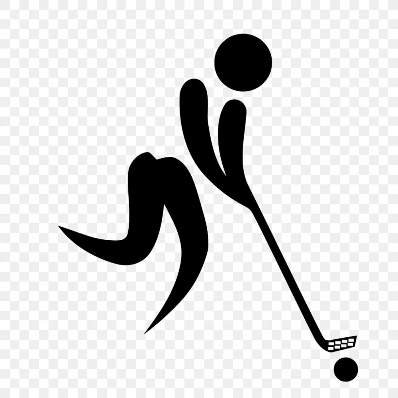 2018 Winter Olympics Pyeongchang County Floorball Ice Hockey At The Olympic Games, PNG, 1024x1024px, Pyeongchang County, Alpine Skiing, Black, Black And White, Brand Download Free