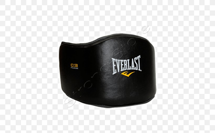 Everlast Sports Boxing Glove Martial Arts, PNG, 510x510px, Everlast, Boxing, Boxing Glove, Brand, Coach Download Free