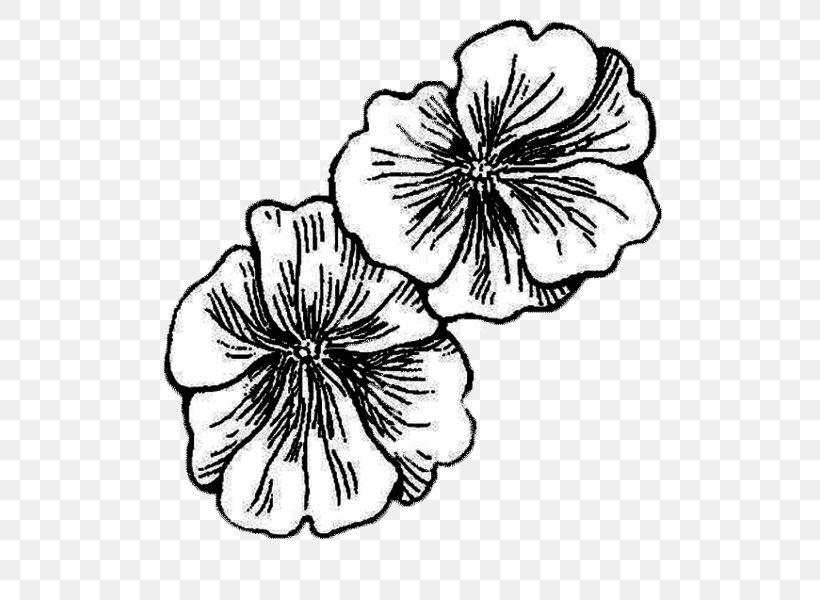 Pansy Drawing Mallows, PNG, 600x600px, Pansy, Artwork, Black And White, Cut Flowers, Drawing Download Free