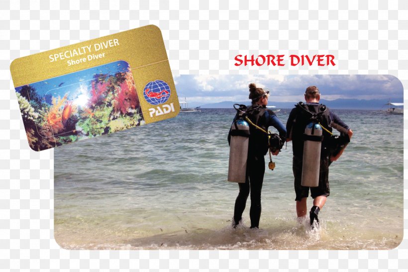 Shore Love's Beach & Dive Resort Love's Beach & Dive Resort Scuba Diving, PNG, 1250x833px, Shore, Adventure, Beach, Beach Resort, Cebu Download Free