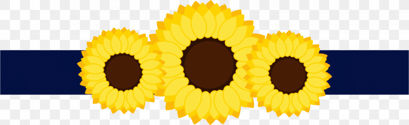 Sunflower, PNG, 1940x596px, Sunflower, Circle, Daisy Family, Flower, Petal Download Free