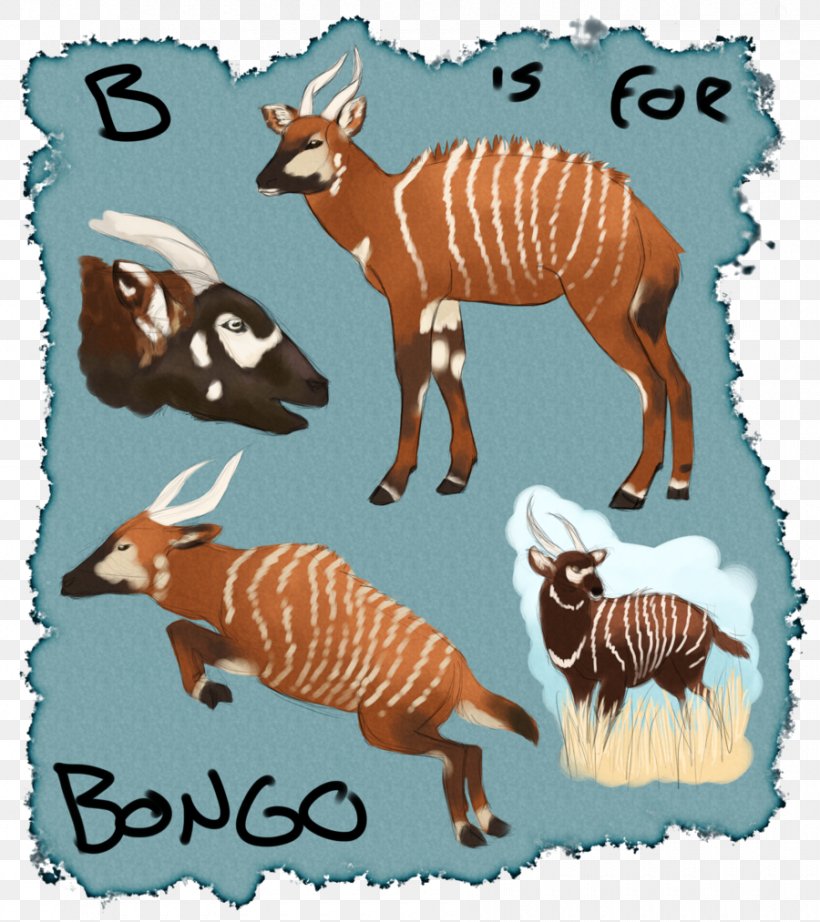 Quagga Clip Art Illustration Fauna Wildlife, PNG, 900x1013px, Quagga, Bongo, Cattle Like Mammal, Fauna, Horse Like Mammal Download Free
