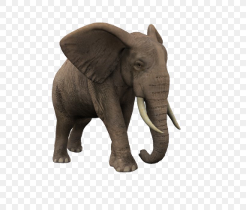 African Elephant Animaatio, PNG, 700x700px, African Elephant, Android, Animaatio, Animated Film, Elephant Download Free