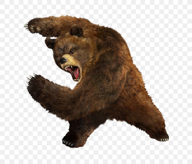 Fancy Bear Security Hacker Russian Interference In The 2016 United States Elections Cozy Bear, PNG, 649x700px, Bear, Brown Bear, Carnivoran, Computer Security, Cozy Bear Download Free