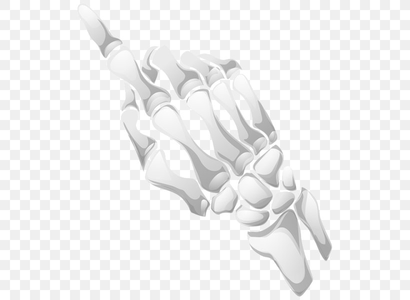 Human Skeleton Hand Bone Clip Art, PNG, 521x600px, Skeleton, Anatomy, Arm, Black And White, Bone Download Free