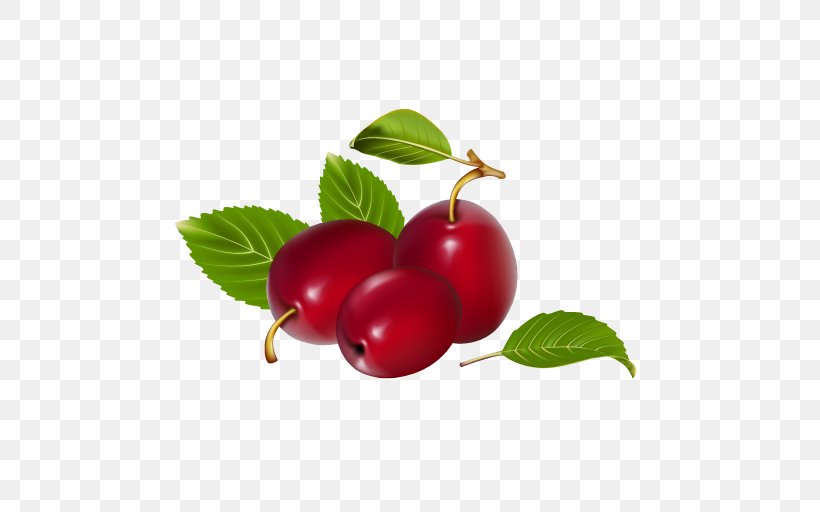 Vector Graphics Cherries Plum Clip Art Peach, PNG, 512x512px, Cherries, Accessory Fruit, Berries, Berry, Cherry Download Free
