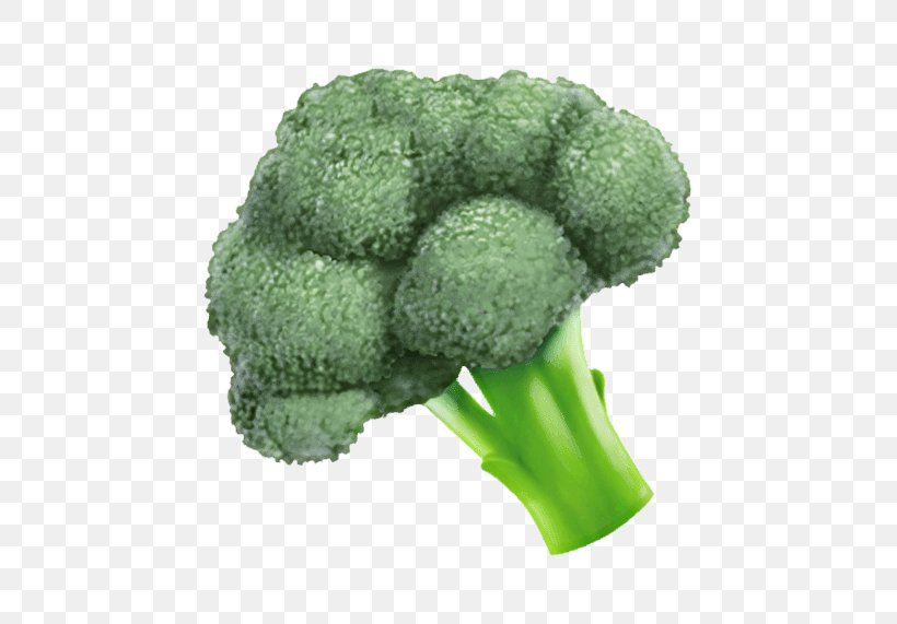 Vegetables Cartoon, PNG, 571x571px, Italica Group, Broccoli, Cauliflower, Food, Leaf Vegetable Download Free
