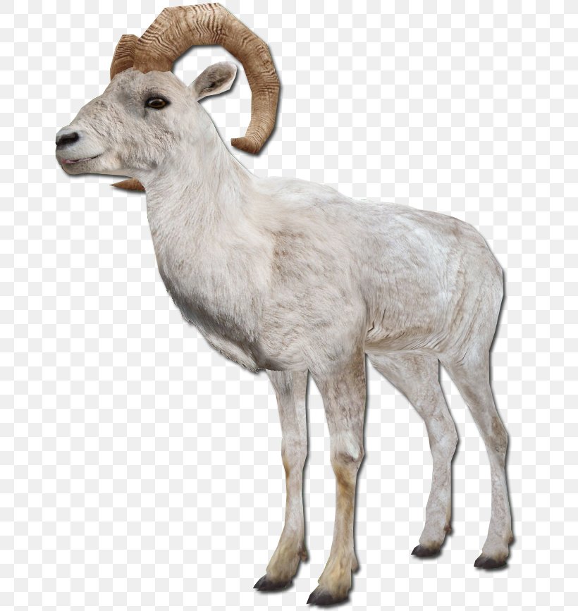 Barbary Sheep Goat Argali Farm Animals: Sheep, PNG, 678x867px, Sheep, Antelope, Argali, Barbary Sheep, Bighorn Download Free