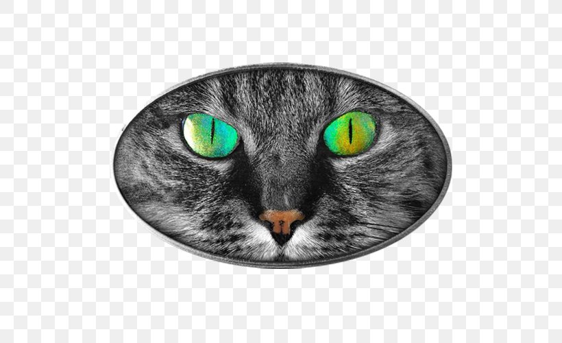 Cat's Eye Tabby Cat The Pupil, PNG, 500x500px, Cat, Cat Like Mammal, Color, Eye, Eye Color Download Free