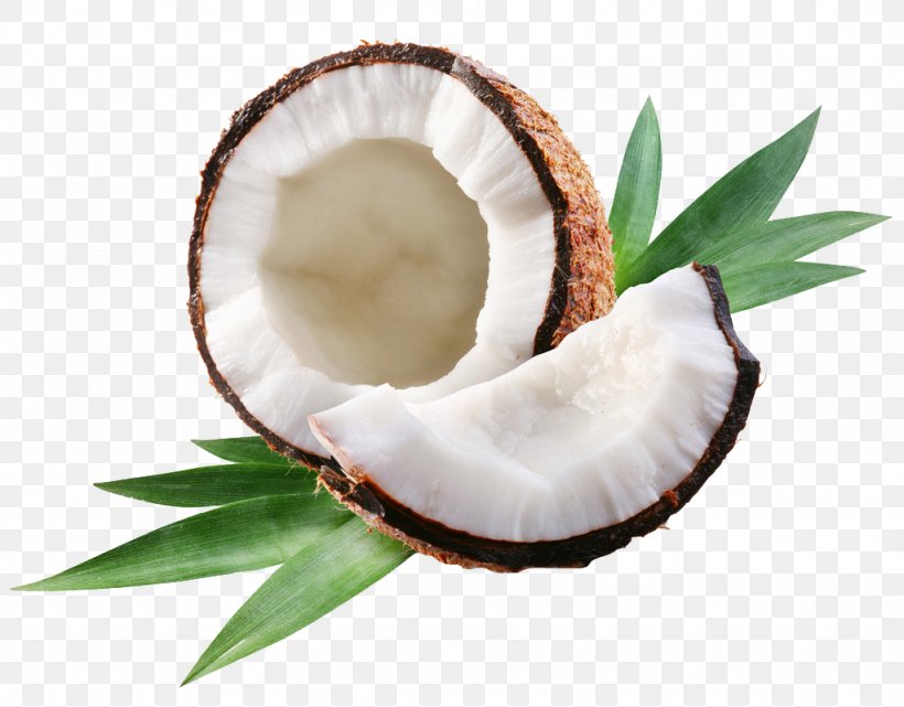 Coconut Water Coconut Milk Coconut Oil Arecaceae, PNG, 1024x801px, Coconut Water, Arecaceae, Coconut, Coconut Milk, Coconut Oil Download Free