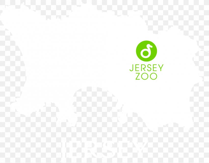 Logo Brand Desktop Wallpaper, PNG, 1000x782px, Logo, Area, Brand, Computer, Green Download Free