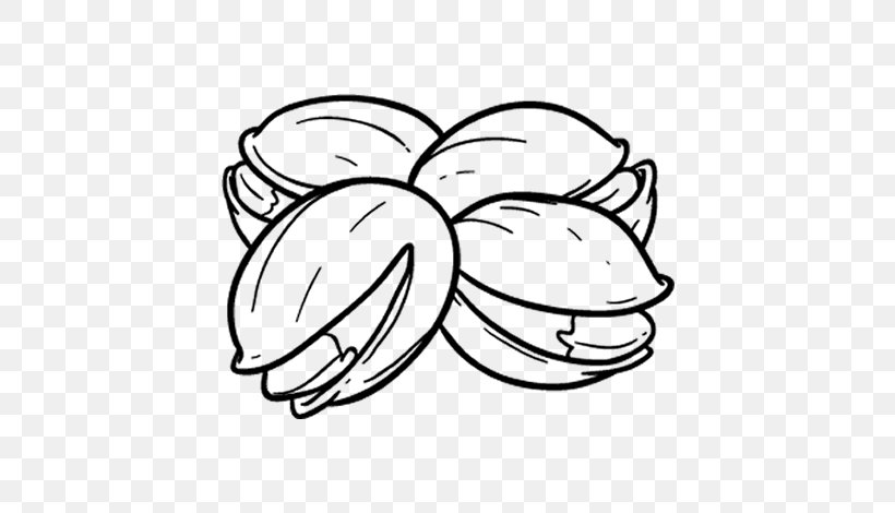 Nuts Drawing Line Art Auglis Clip Art, PNG, 600x470px, Watercolor, Cartoon, Flower, Frame, Heart Download Free