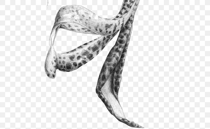 JPEG Screenshot Shoe Biological Illustration, PNG, 600x505px, Screenshot, Arm, Biological Illustration, Black And White, Human Leg Download Free