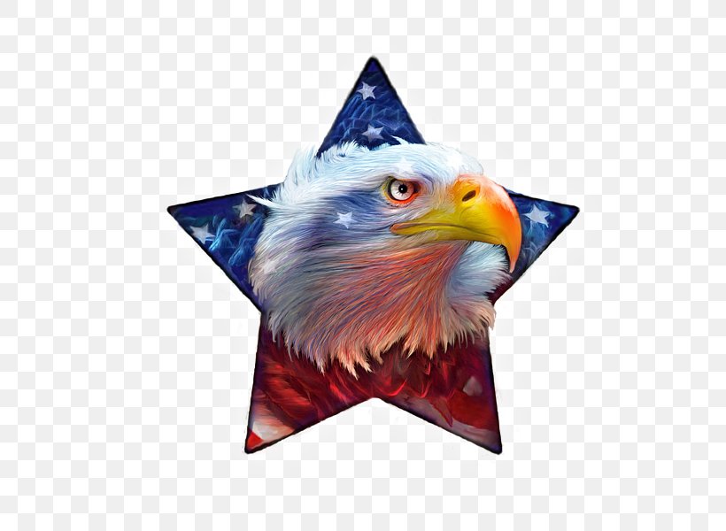 T-shirt American Eagle Outfitters Painting Printing, PNG, 600x600px, Tshirt, American Eagle Outfitters, Beak, Bird, Bird Of Prey Download Free