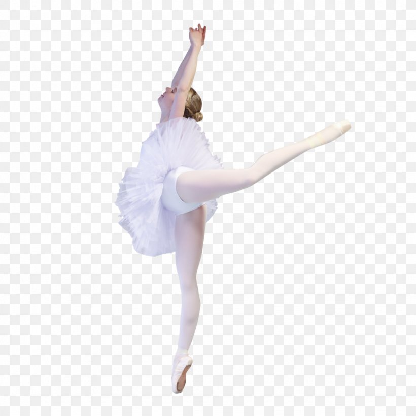 Ballet Choreographer Tutu Dance Choreography, PNG, 1024x1024px, Watercolor, Cartoon, Flower, Frame, Heart Download Free