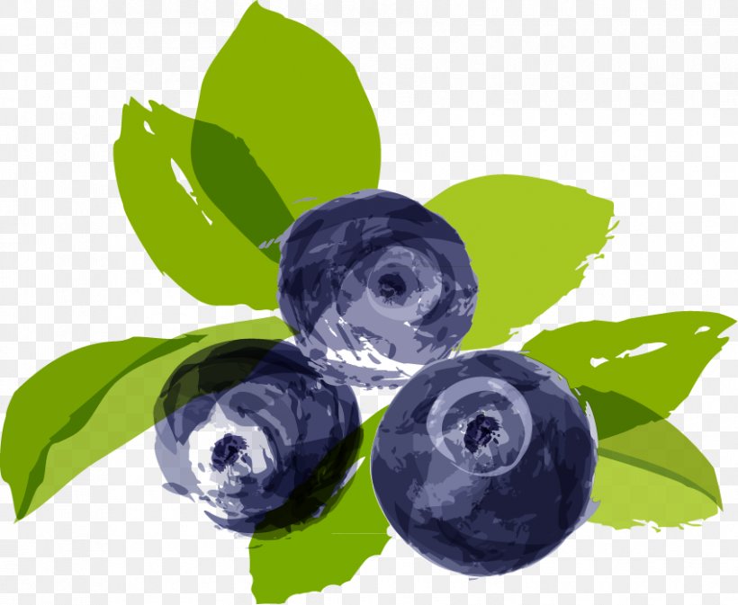 Bilberry Blueberry Illustration, PNG, 850x698px, Bilberry, Axe7axed Palm, Berry, Blueberry, Cartoon Download Free