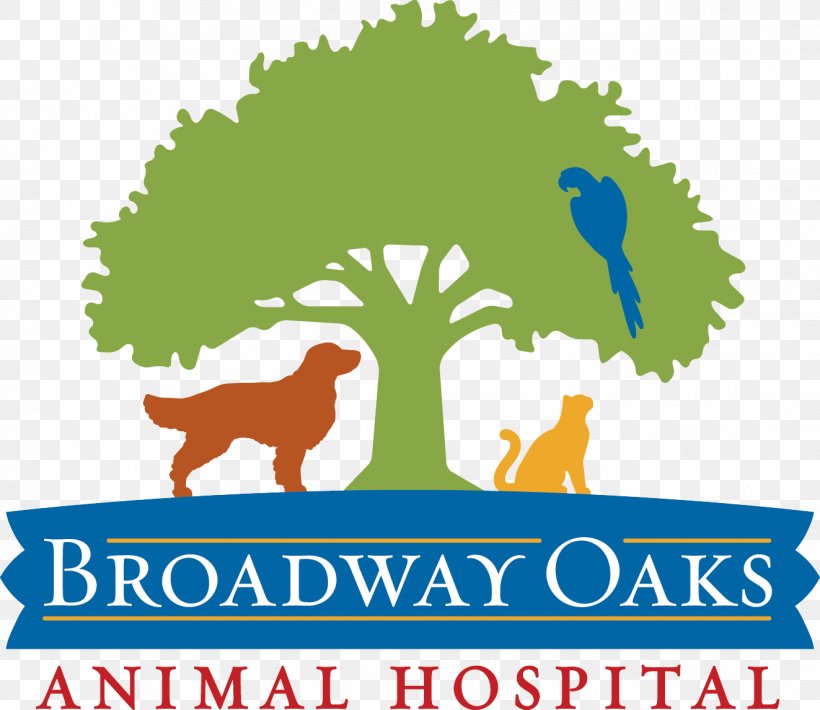 Broadway Oaks Animal Hospital Dog Veterinarian Pet Broadway Street, PNG, 1323x1146px, Dog, Animal, Area, Artwork, Brand Download Free