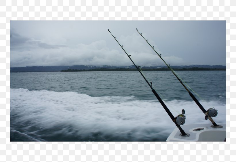 Casting Shore Recreational Fishing Fishing Rods Sea, PNG, 750x563px, Casting, Calm, Casting Fishing, Fishing, Fishing Rod Download Free