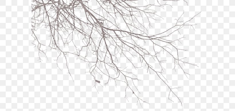 Twig Clip Art, PNG, 600x388px, Twig, Artwork, Black And White, Branch, Brush Download Free