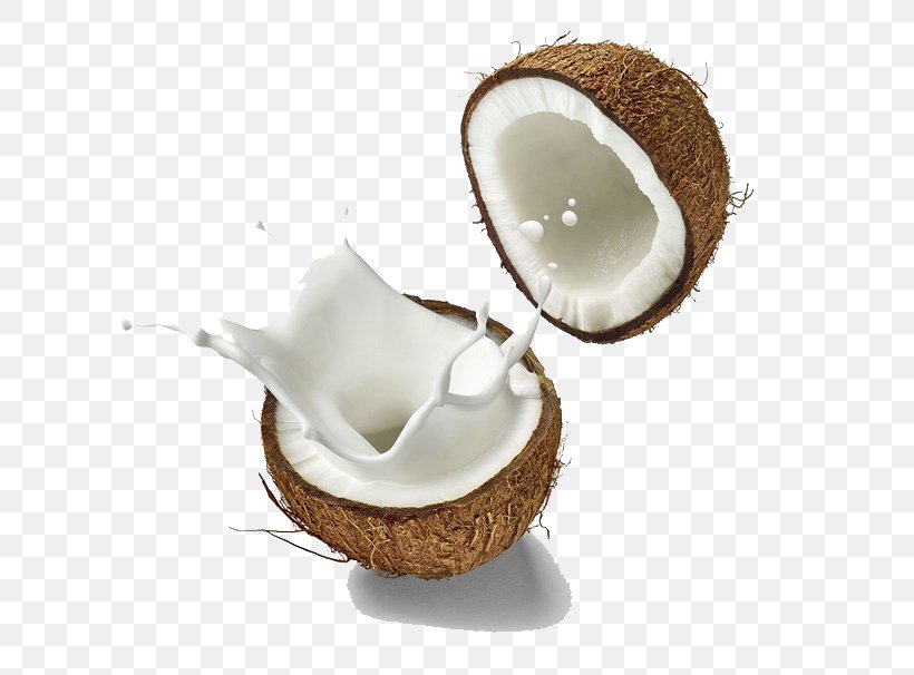 Coconut Milk Soy Milk Milk Substitute, PNG, 658x606px, Coconut Milk, Canning, Coconut, Coconut Milk Powder, Coconut Oil Download Free