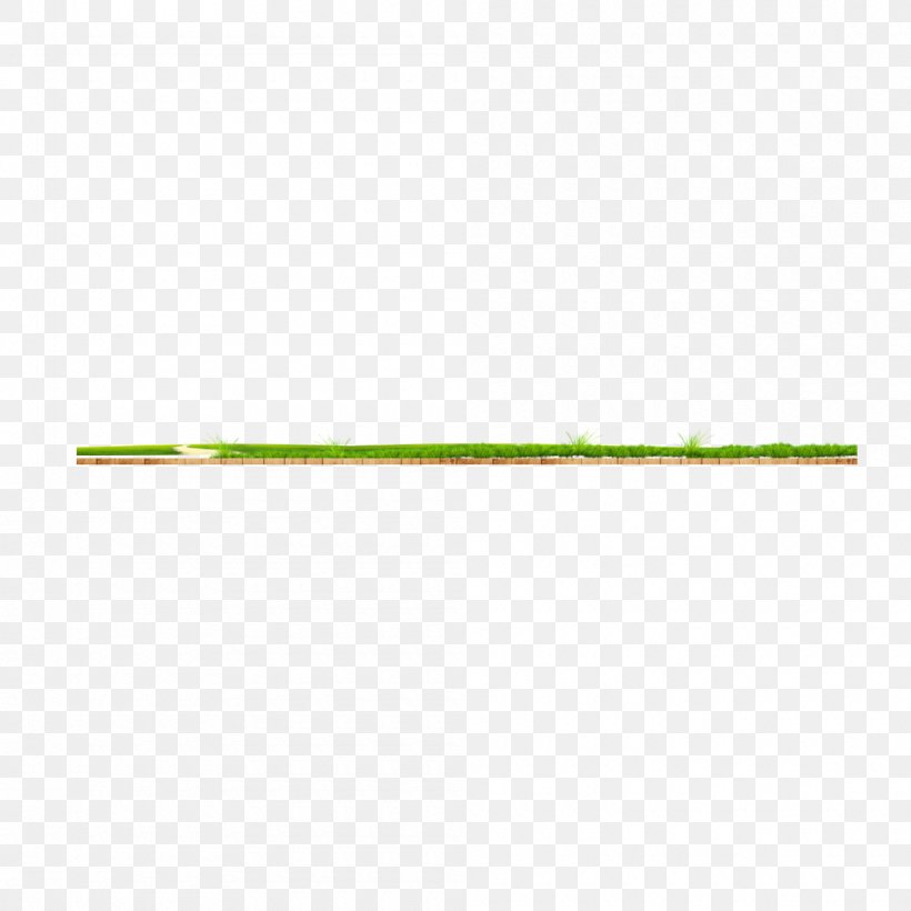 Green Plant Angle, PNG, 1000x1000px, Green, Cao Zhang, Grass, Plant Download Free
