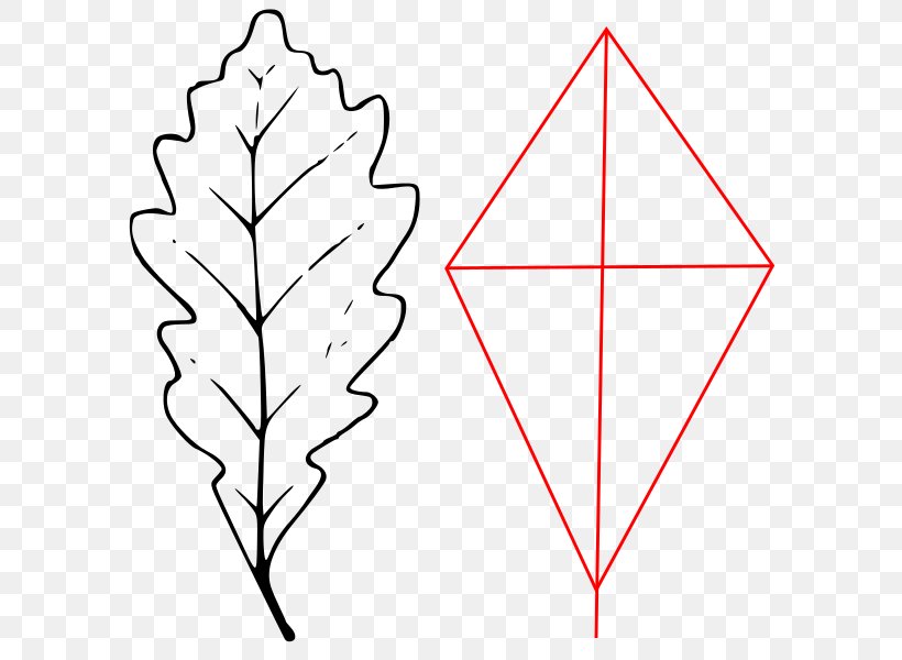 Leaf Plant Stem Triangle Tree, PNG, 617x600px, Leaf, Area, Black And White, Flower, Line Art Download Free