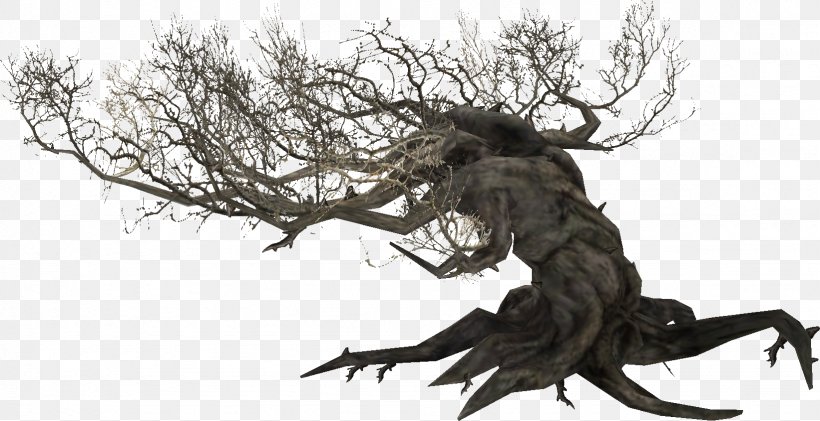 The Elder Scrolls V: Skyrim The Elder Scrolls Online Root Tamriel Plant, PNG, 1642x845px, Elder Scrolls V Skyrim, Alchemy, Bordeciel, Branch, Craft Download Free