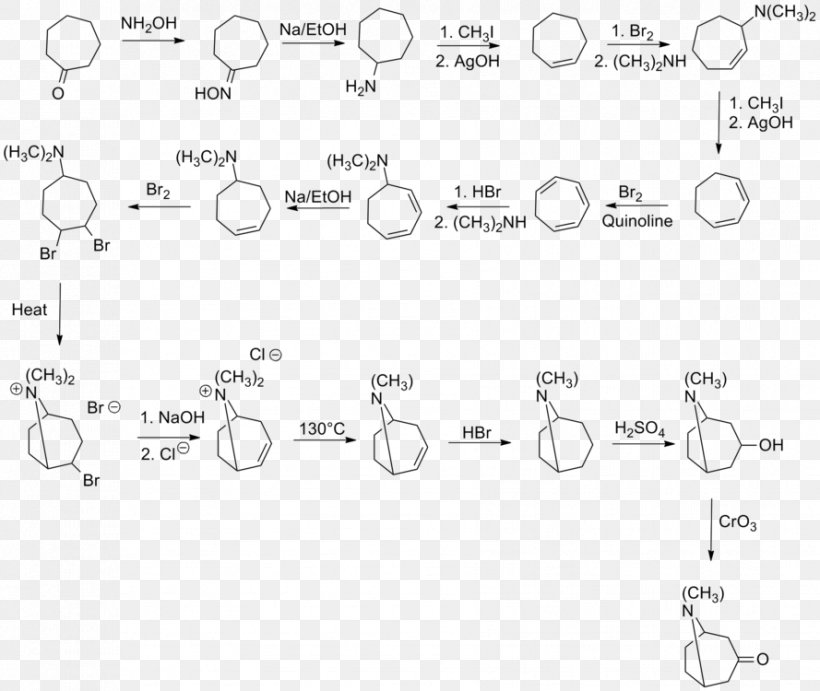 Tropinone Chemical Synthesis Total Synthesis Organic Synthesis Chemistry, PNG, 889x750px, Chemical Synthesis, Alkaloid, Area, Atropine, Black And White Download Free