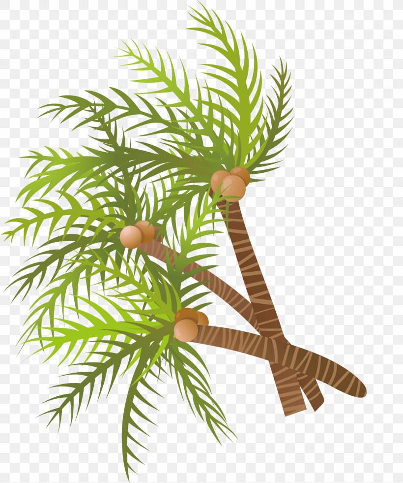 Arecaceae Coconut Tree Euclidean Vector, PNG, 1925x2304px, Arecaceae, Arecales, Artworks, Branch, Coconut Download Free
