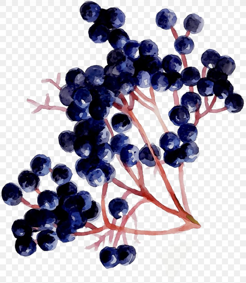 Grape Seed Extract Zante Currant Blueberry Bilberry, PNG, 1845x2120px, Grape, Berry, Bilberry, Blue, Blueberry Download Free