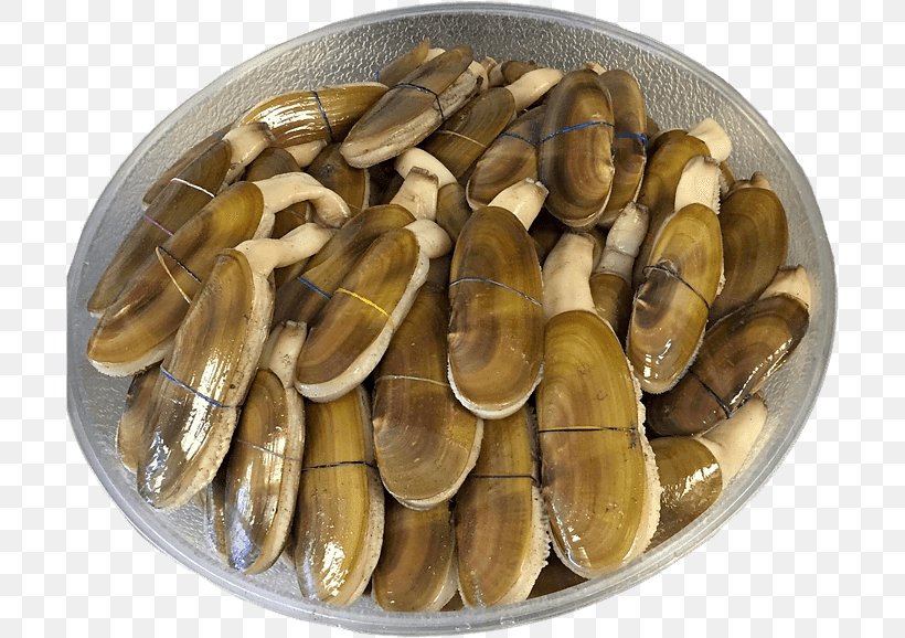 Pacific Razor Clam Mussel Giant Clam Shellfish, PNG, 700x578px, Clam, Animal Source Foods, Atlantic Surf Clam, Beach, Clams Oysters Mussels And Scallops Download Free