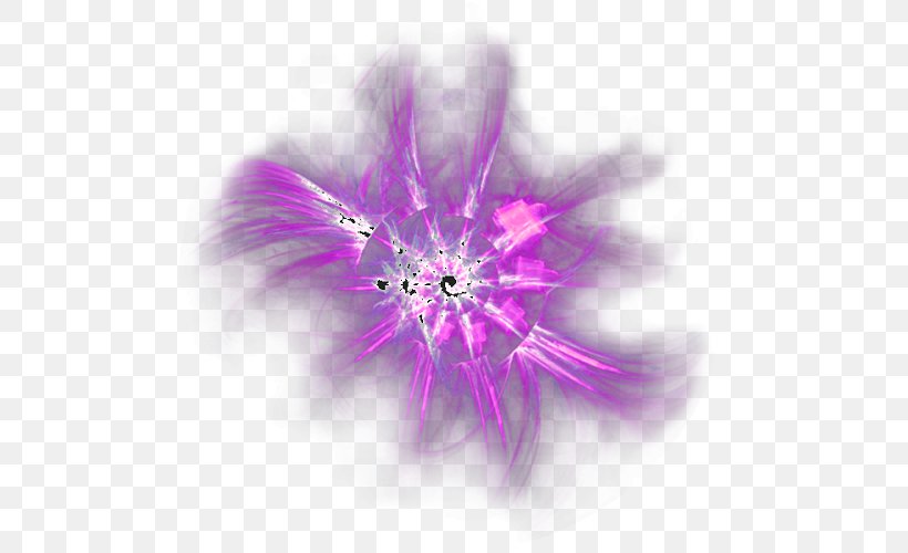 Purple Color, PNG, 500x500px, Purple, Background Light, Close Up, Color, Flower Download Free