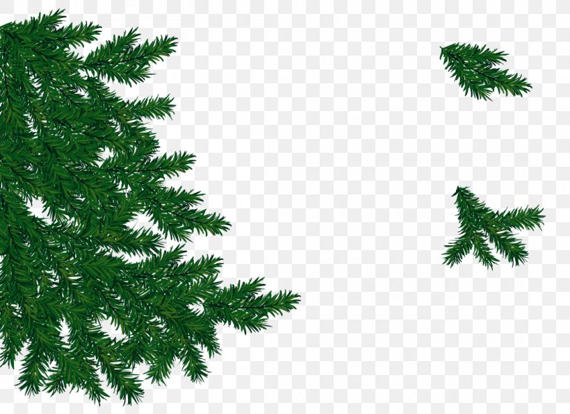 Spruce Fir Christmas Tree Pine Christmas Ornament, PNG, 1100x800px, Spruce, Biome, Branch, Christmas, Christmas Decoration Download Free