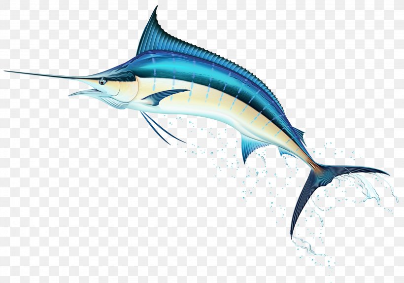 Swordfish Fish Sailfish Atlantic Blue Marlin Marlin, PNG, 3069x2152px, Watercolor, Atlantic Blue Marlin, Fin, Fish, Marlin Download Free