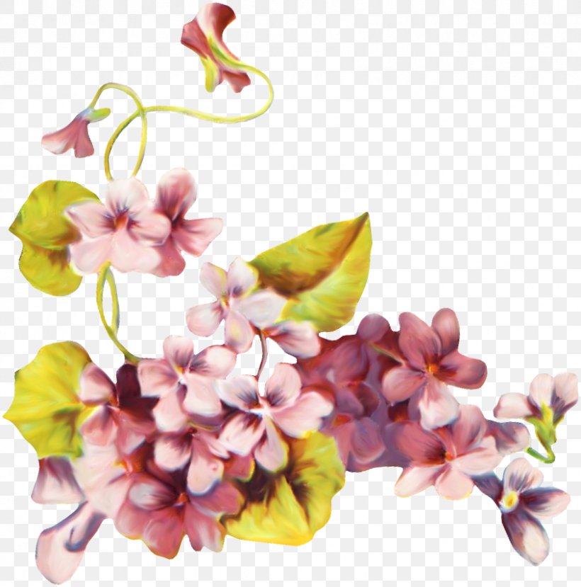 Flower Clip Art, PNG, 844x854px, Flower, Blog, Blossom, Branch, Cherry Blossom Download Free