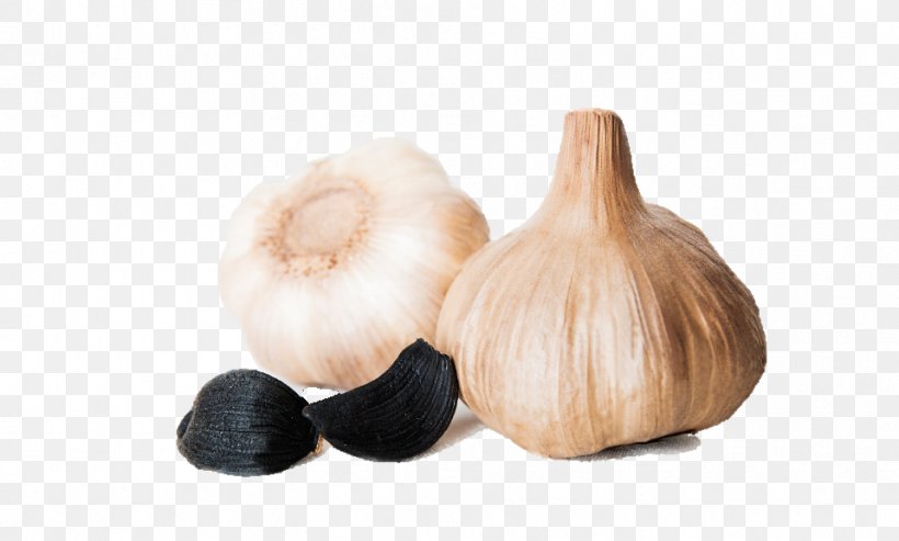 Garlic, PNG, 959x577px, Garlic, Food, Ingredient, Onion Genus, Vegetable Download Free