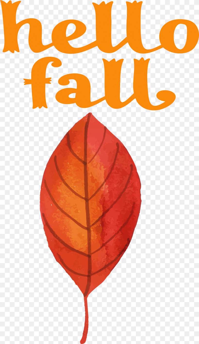 Hello Fall Fall Autumn, PNG, 1267x2183px, Hello Fall, Autumn, Biology, Fall, Leaf Download Free