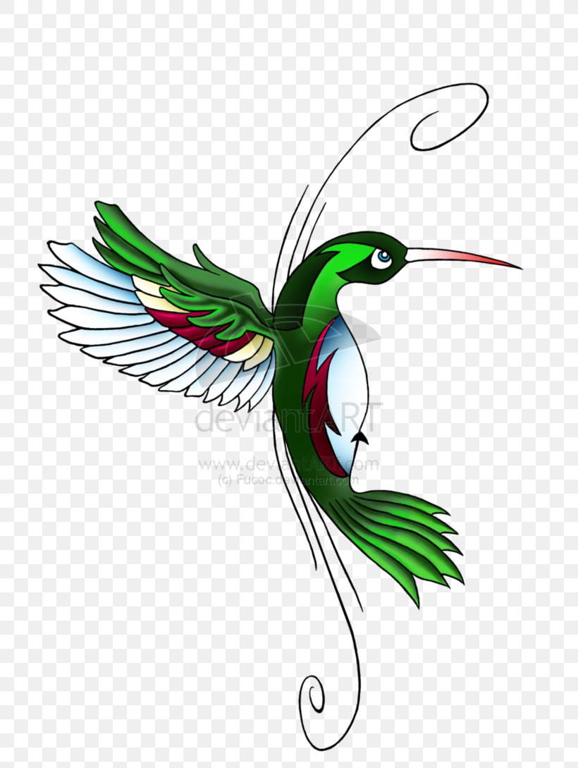 Hummingbird Feather Wing Beak Illustration, PNG, 734x1089px, Hummingbird, Ambigram, Art, Beak, Bird Download Free