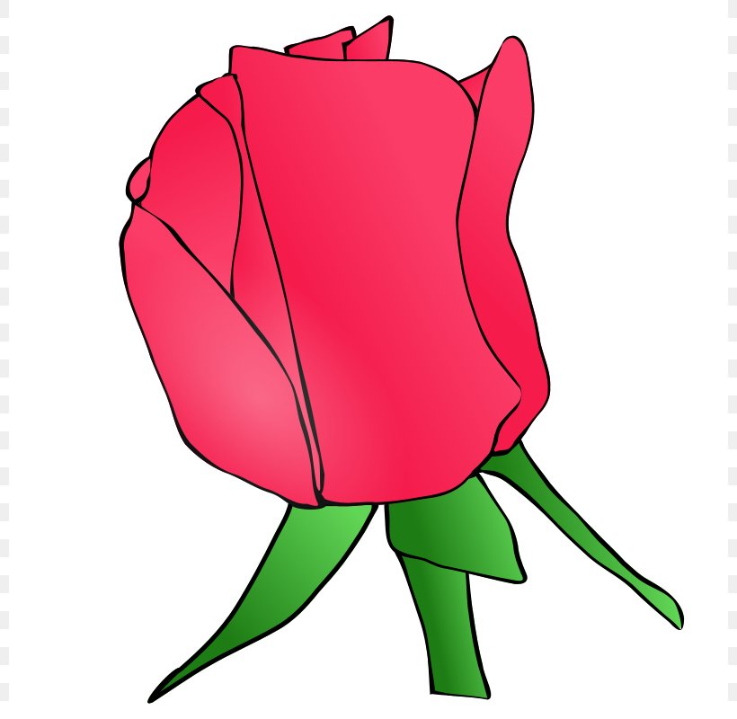 Rose Bud Clip Art, PNG, 800x800px, Watercolor, Cartoon, Flower, Frame, Heart Download Free