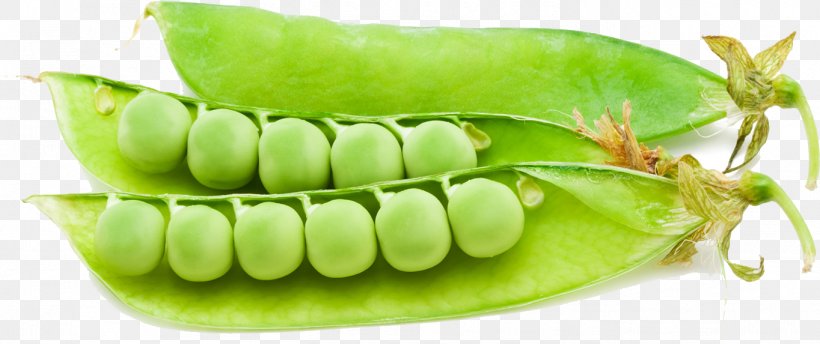 Snap Pea Superfood Commodity, PNG, 1364x573px, Snap Pea, Commodity, Food, Fruit, Ingredient Download Free